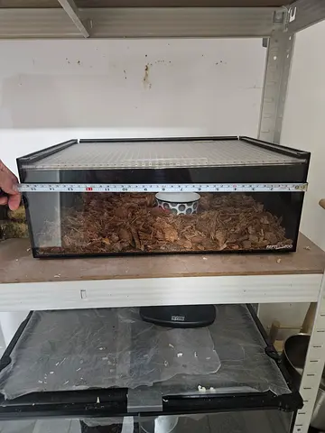 Acrylic reptile cage (reptizoo)