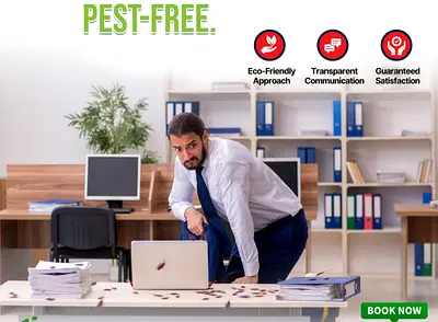Make your office pest free zone say goodbye to pests and hello to healthier workplace