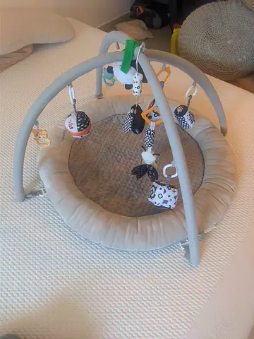 Baby Playmat