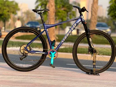 Sunpeed rule mtb/29