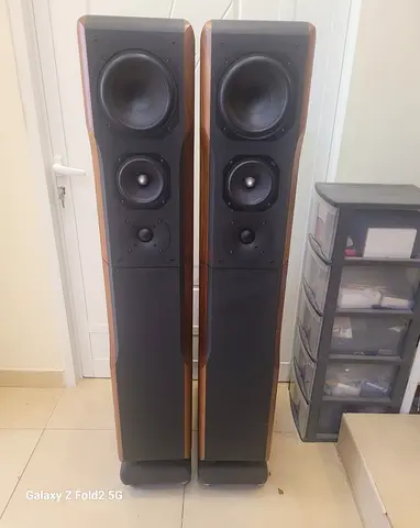 Chario  Constellation ursa major Speakers