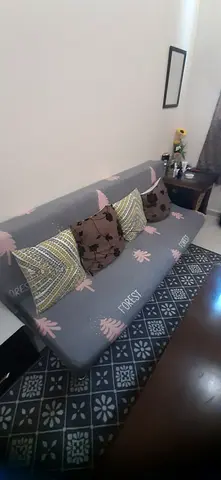 Sofa bed in good shape at very cheap price