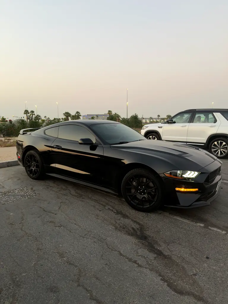 Ford Mustang 2019 — photo 1 of 10