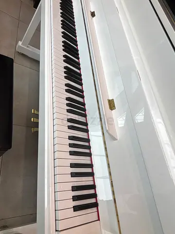 Pearl River EU110