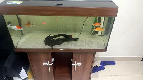 Fish tank Juwel brand