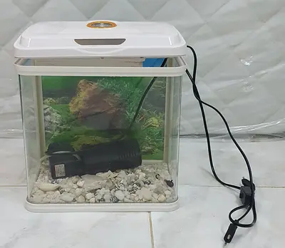 Small Aquarium Tank with LED Lid and Filter - White