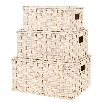 3 Boxes with hinged lids for storage