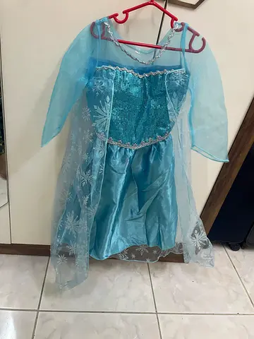 Elsa costume for sale