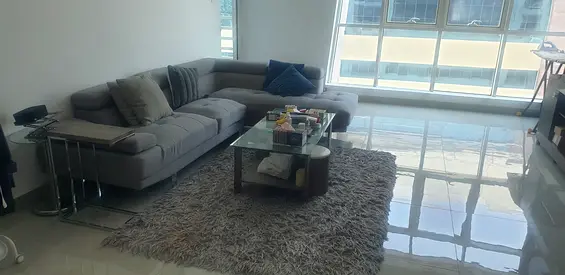 Light Grey L-shaped Sofa with Coffee Table and $%! Rug - Good Condition
