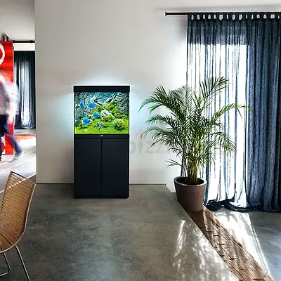 Aquarium