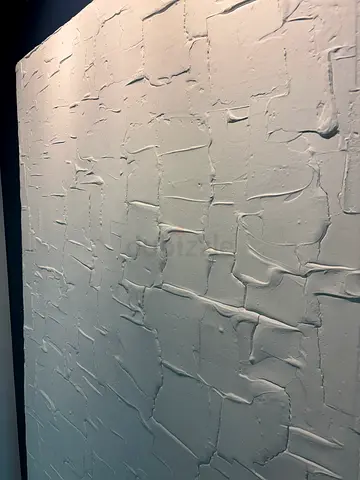 Big wall decore art / Decorative Plaster Finish