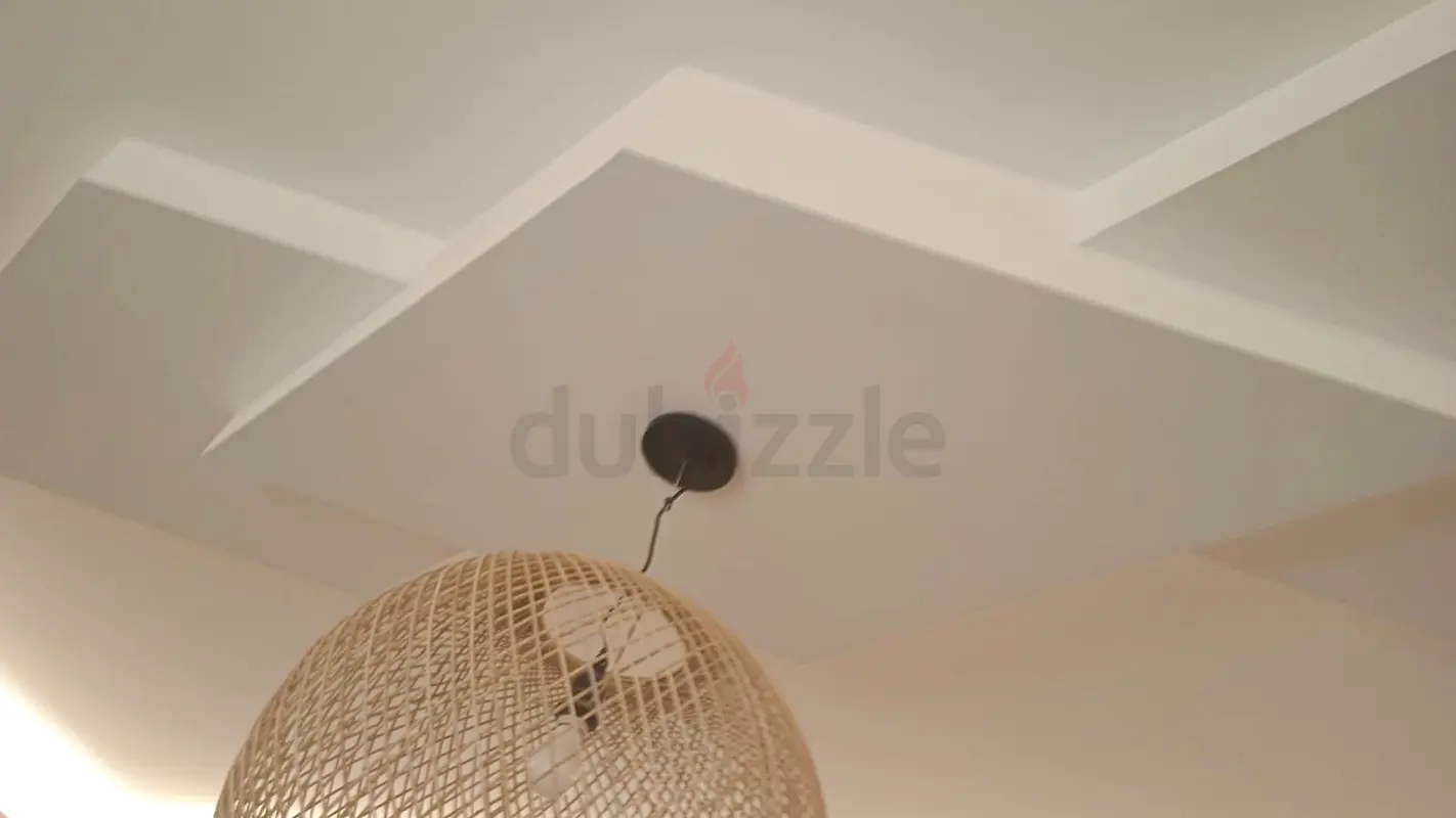 DPV_View_Image_6
