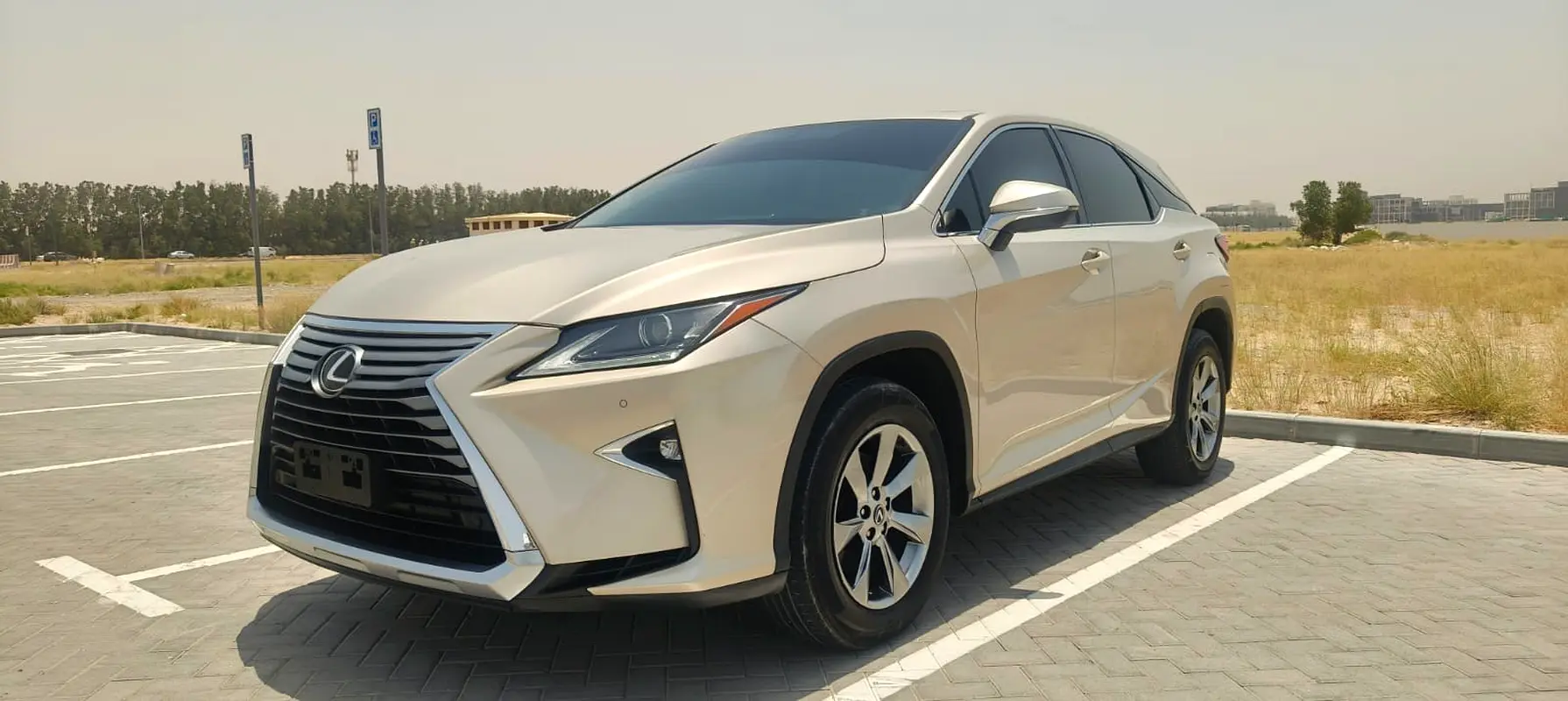 Lexus RX-Series 2019 — photo 1 of 20