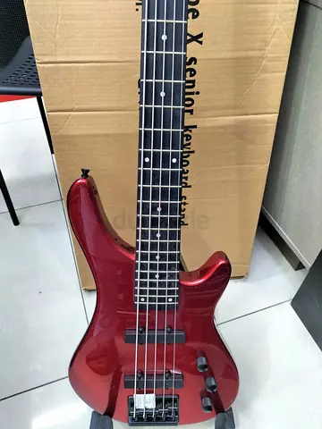 5 String Bass Guitar- Brand New
