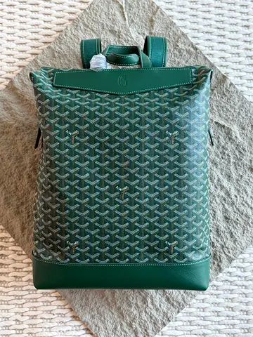 Goyard Cisalpine backpack 🎒