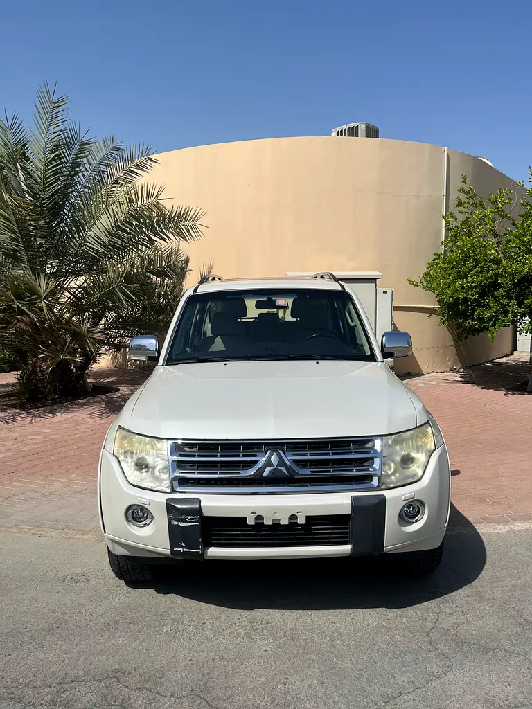 Mitsubishi Pajero 2010 — photo 1 of 18