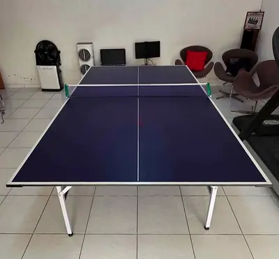 Table Tennis