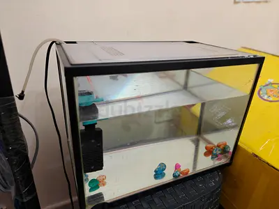 Fish aquarium