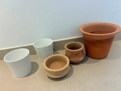 Green Plastic Watering Can - 8L Good Condition. 5 x various sized terracotta and ceramic pots
