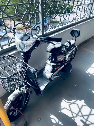 Electric bike