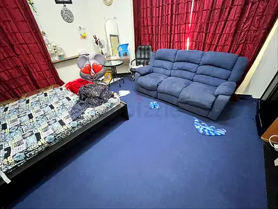 Blue and black carpets for sale