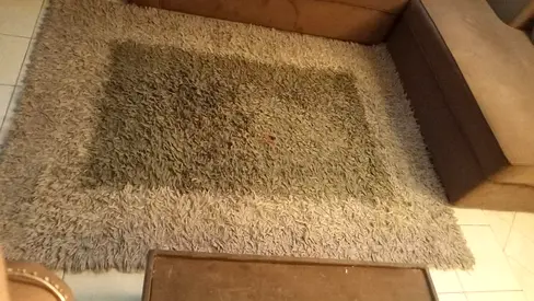 Beige shaggy area rug - good condition
