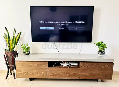 Samsung 65 Inch TV
