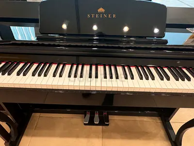 Steiner Dp-850 Digital Piano