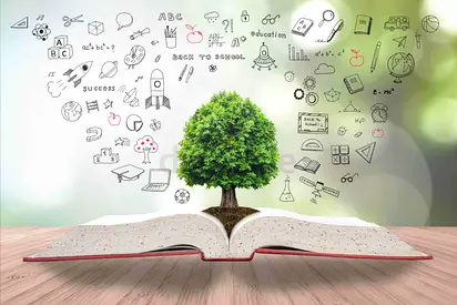 Online Tuition Classes Available – Grade 1 to 10