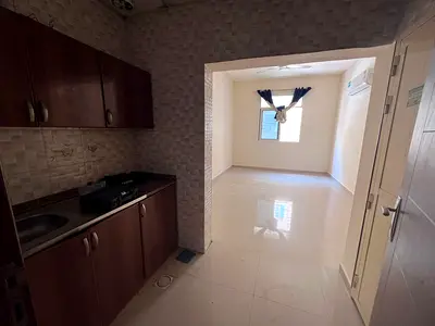 A distinctive studio apartment with a separate kitchen – a great opportunity for family living – in
