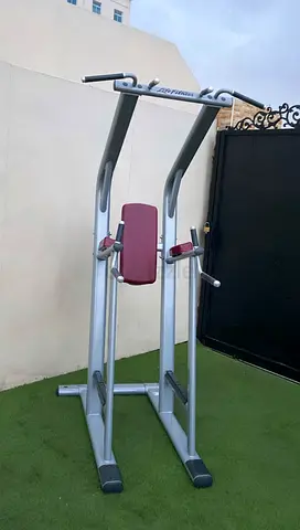 Life Fitness Signature series Pull Up Dips Leg Raise