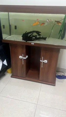 Fish tank Juwel brand
