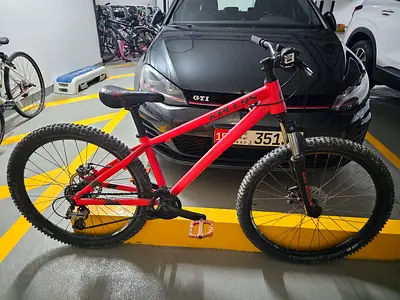 Kellys whip 10 street/dirt bike RARE