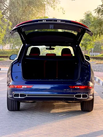 2020 AUDI SQ5 照片 7