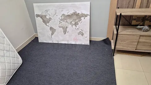 Dark grey rectangular area rug - good condition and world map canvas