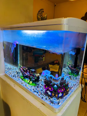 Aquarium