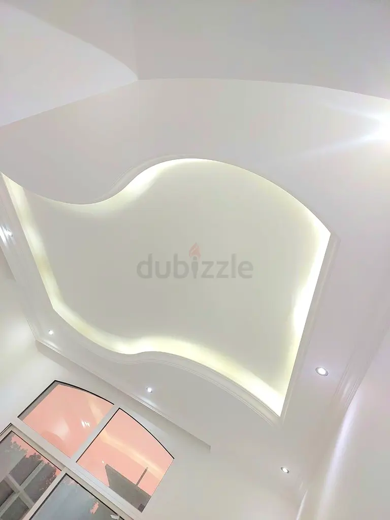 DPV_View_Image_1