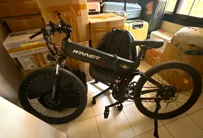 Winner Foldable Electric Mountain Bike