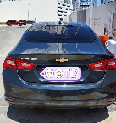 Zero Accidents,excellent motor and family use