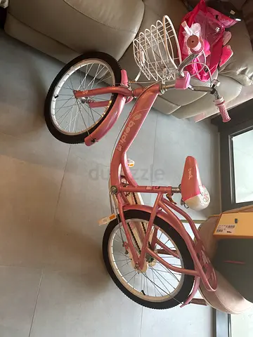 Pink 20-inch Childrens Bicycle with Basket — brand new Condition