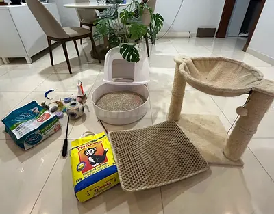 Cat tower, litter box, sand, cat toys.