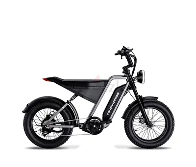 Used Electric Fat-Tire Bicycle / E-bike - Good Condition