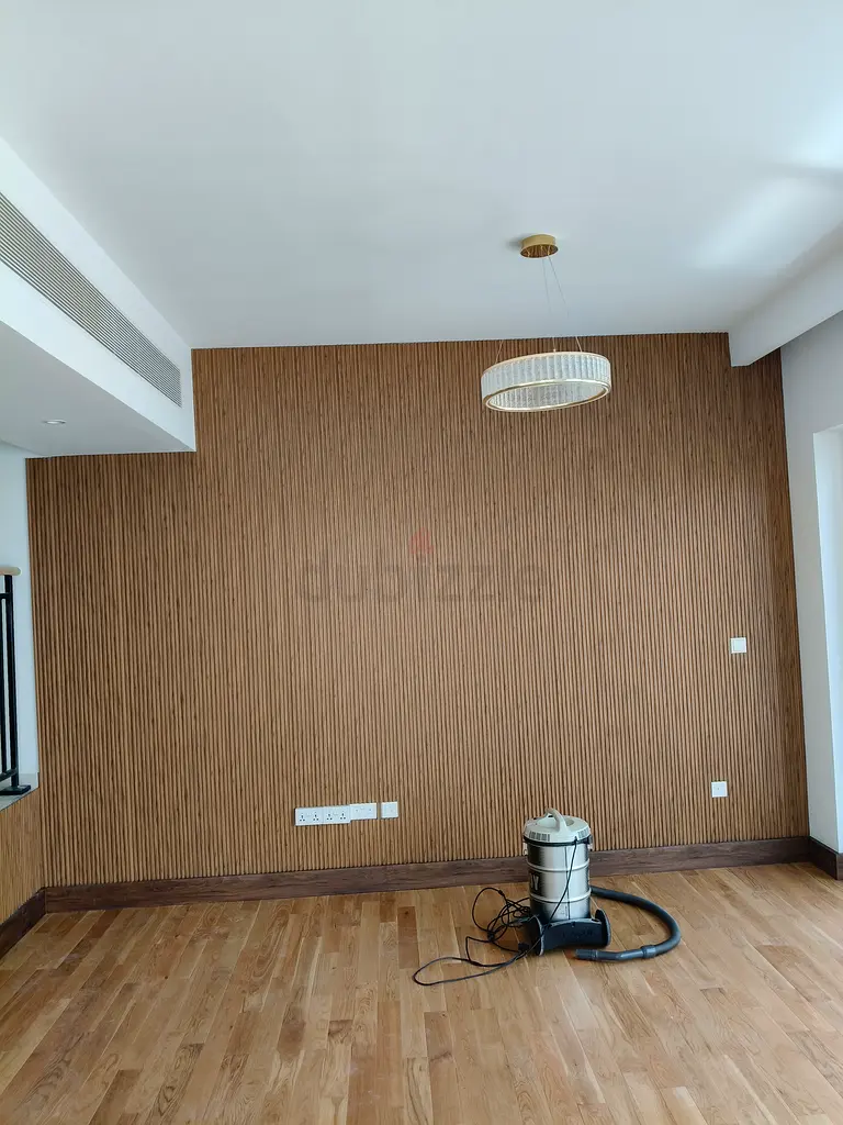 DPV_View_Image_0