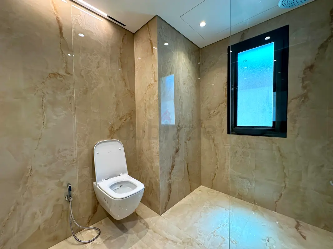 DPV_View_Image_1