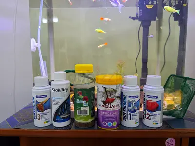 Fish aquarium with all accessories