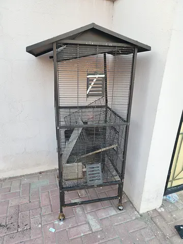 Birds Cages for Free