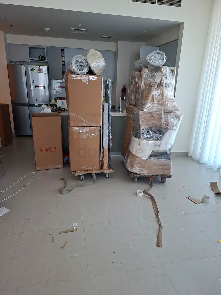 DPV_View_Image_2