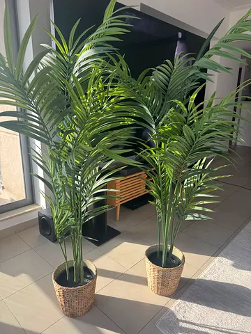 Pair of tall artificial palm plants in woven baskets