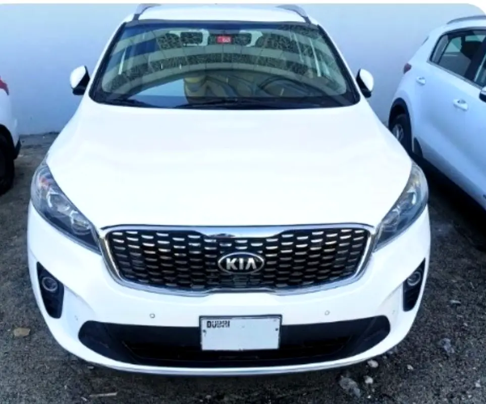 Kia Sorento 2019 — photo 1 of 15