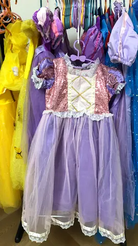 NEW Childs Purple Princess Dress (Size ~5-7)